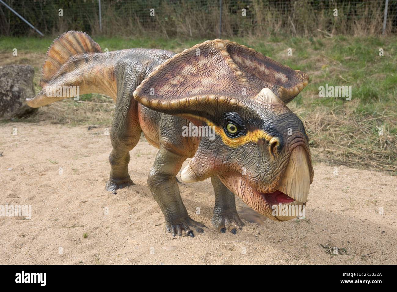 Lebensgroßes Modell des ausgestorbenen Dinosauriers Protoceratops in All Things Wild, Honeybourne, Großbritannien Stockfoto