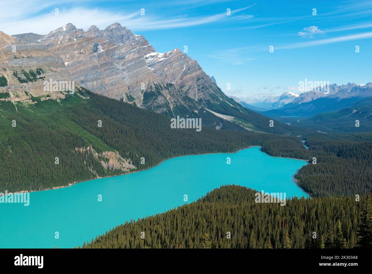 Peyto See im Sommer, Banff Nationalpark, Alberta, Kanada. Stockfoto