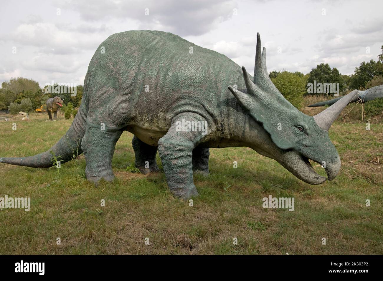 Lebensgroßes Modell des Styracosarus, einem pflanzenfressenden ceratopsianischen Dinosaurier bei All Things Wild, Honeybourne, Großbritannien Stockfoto