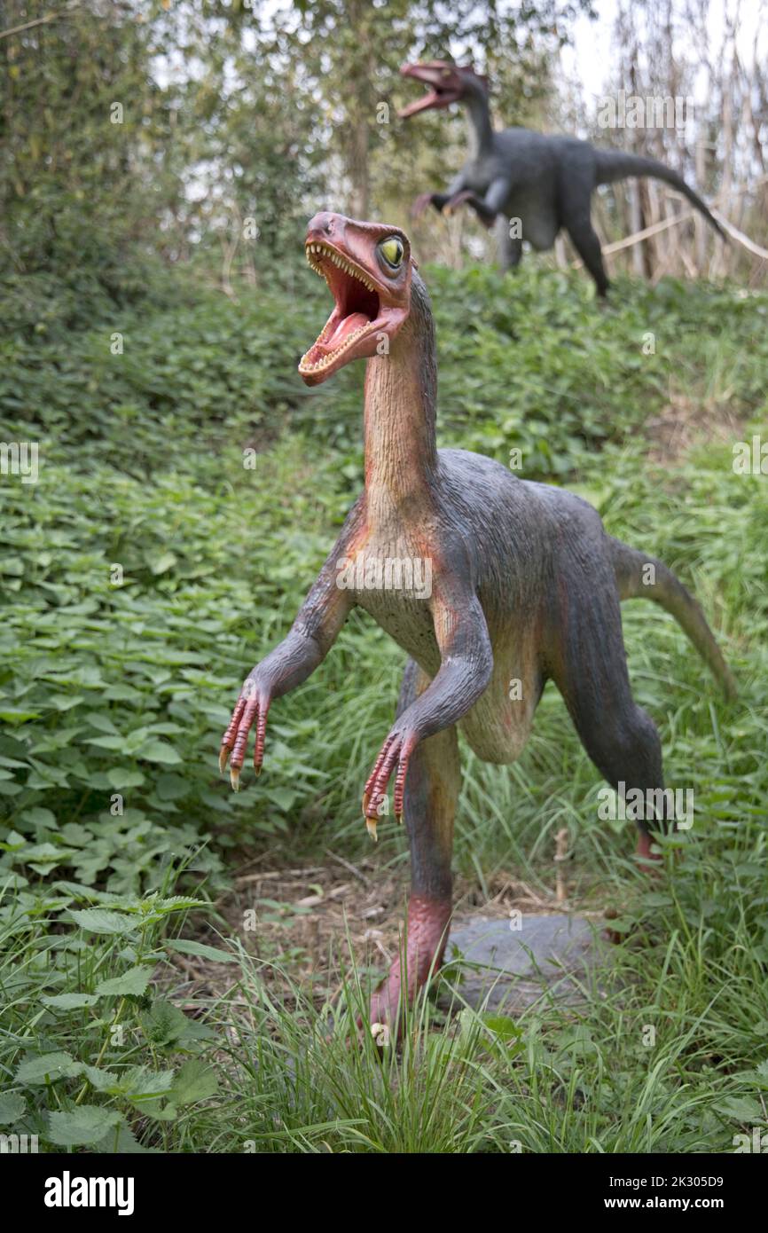 Lebensgroßes Modell von Trrodon ein Vogel-ähnlicher Theropod-Dinosaurier aus dem späten Kreidezeit, All Things Wild, Honeybourne, Großbritannien Stockfoto