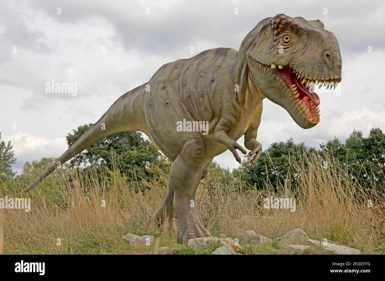 Lebensgroßes Modell des Tyrannosaurus rex ein riesiger zweibäugigen Thermood-Dinosaurier bei All Things Wild, Honeybourne, Großbritannien Stockfoto