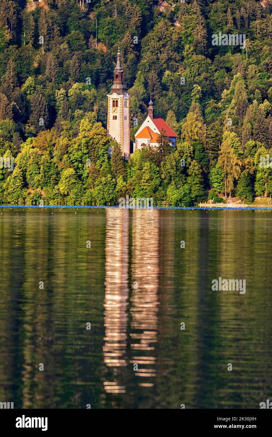Slowenien, Oberkrain, Kirche, Kirche auf der Insel Bled Stockfoto