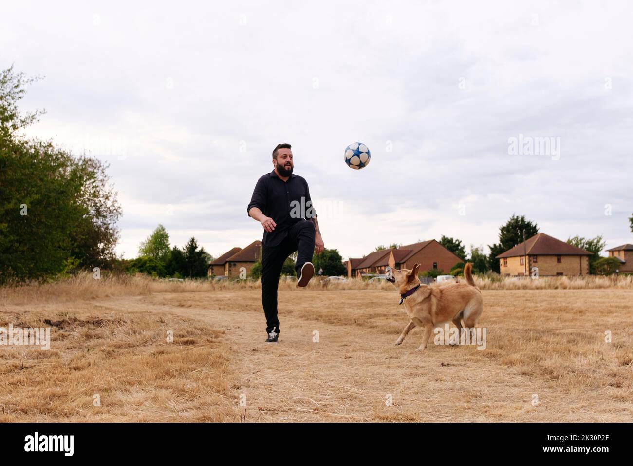 Mann, der bei Sonnenuntergang mit einem Hund spielt, der den Fußball auf dem Feld spielt Stockfoto
