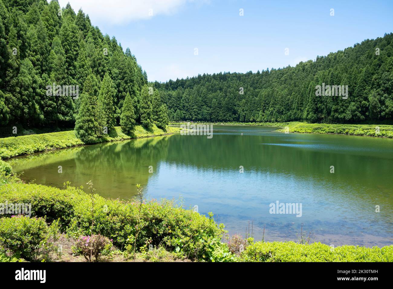 Portugal, Azoren, Lagoa das Empadadas See, umgeben von grünen Pinienwäldern Stockfoto