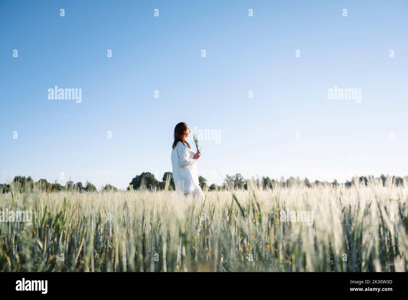 Frau, die allein auf dem Kornfeld unter dem Himmel geht Stockfoto