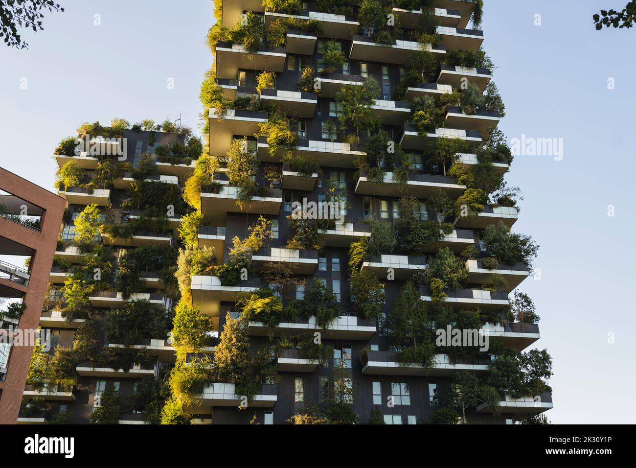 Grüner vertikaler Garten in moderner Wohnung Stockfoto