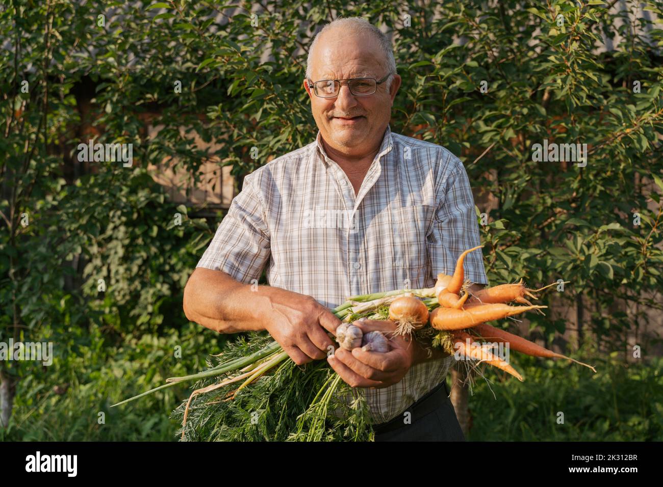 Lächelnder älterer Mann mit Karotten und Zwiebeln, der vor den Pflanzen steht Stockfoto