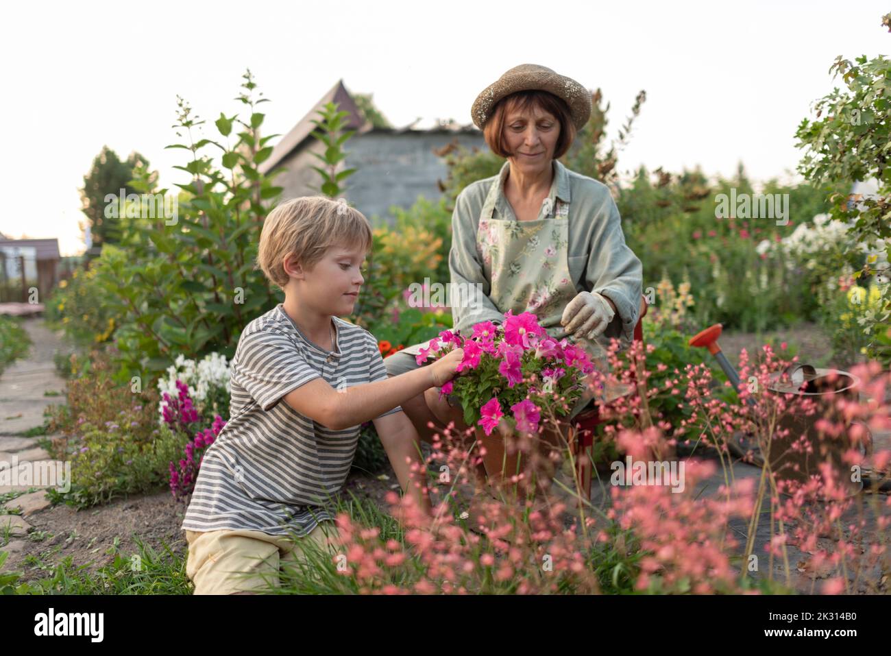 Ältere Frau mit Enkel, die Blumen im Garten pflanzt Stockfoto