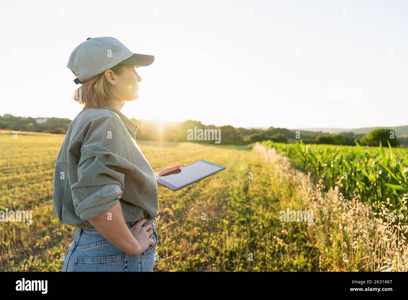 Frau, die mit einem digitalen Tablet auf dem Feld steht und sich umschaut Stockfoto