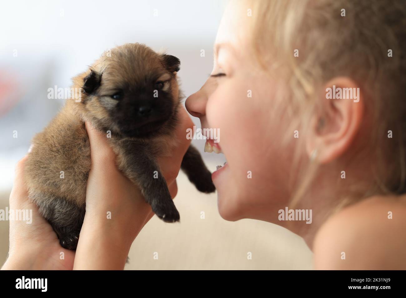 Welpen als Geschenk in guten Händen. Mädchen freut sich auf einen neugeborenen Welpen aus dem Tierheim Stockfoto