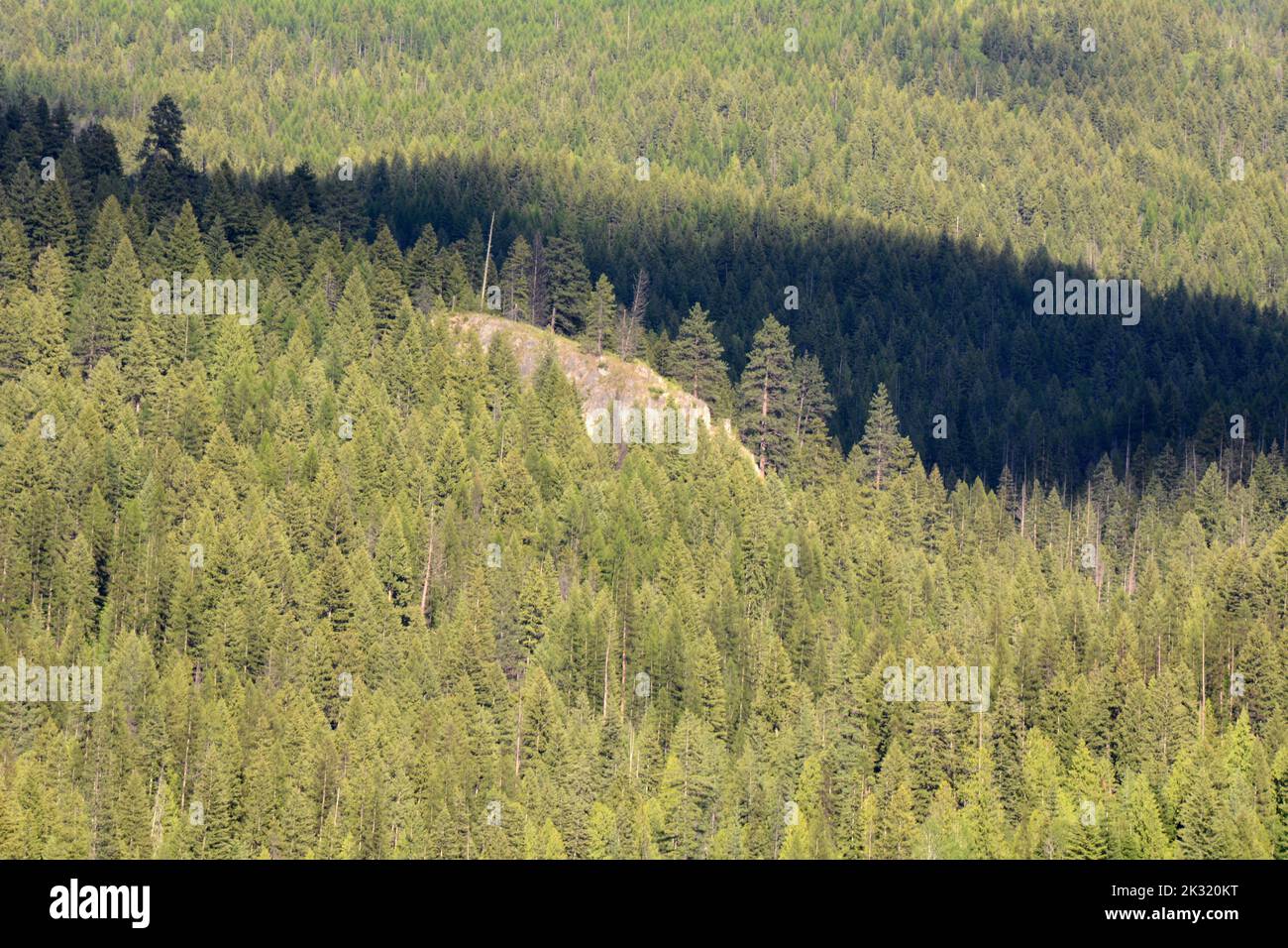Eine exponierte Klippe im Colville National Forest im Pend-Oreille County im Nordosten des US-Bundesstaates Washington. Stockfoto