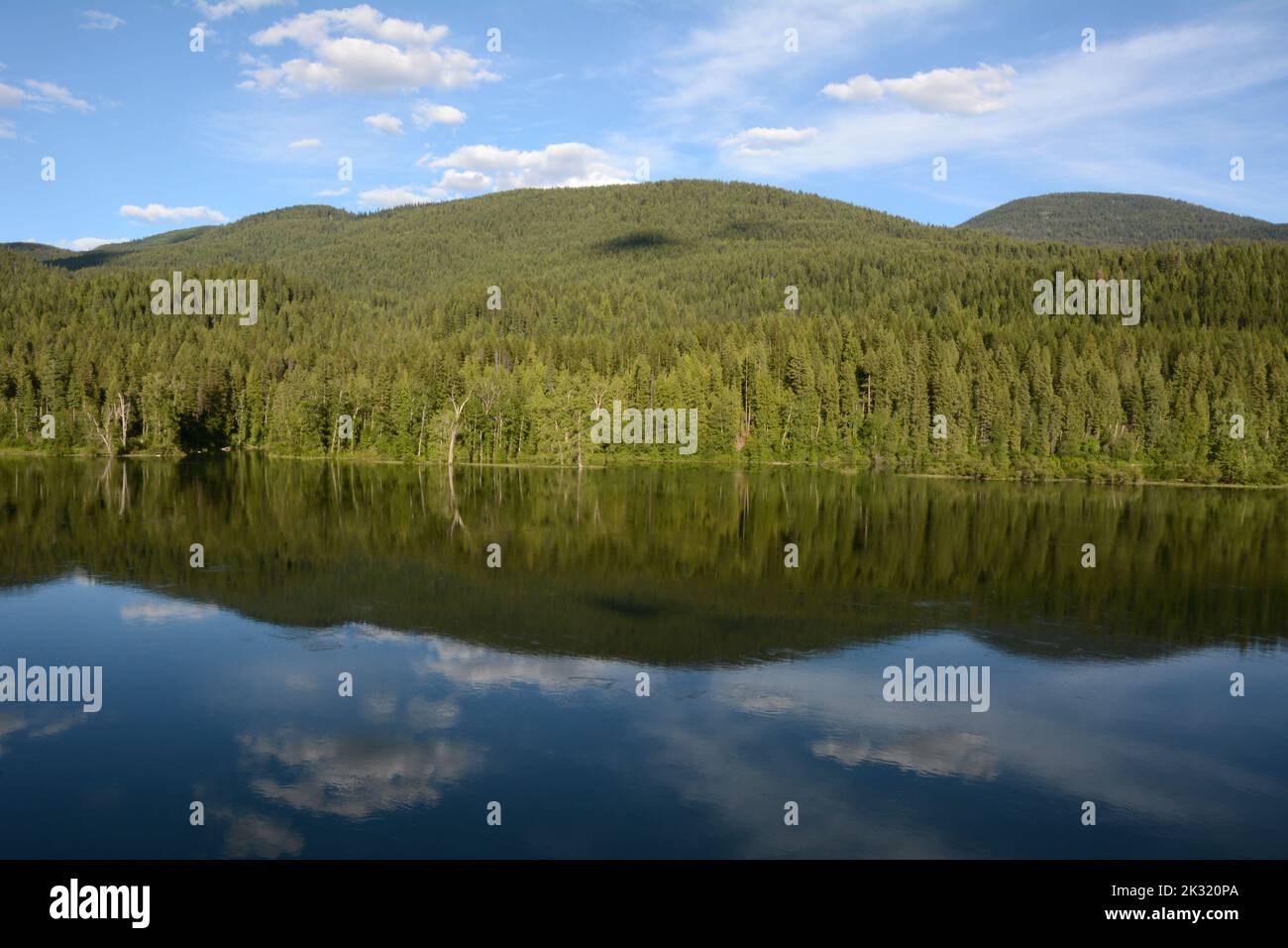 Der Pend-Oreille River, ein Nebenfluss der Columbia, der durch den Colville National Forest im Nordosten des US-Bundesstaates Washington fließt. Stockfoto