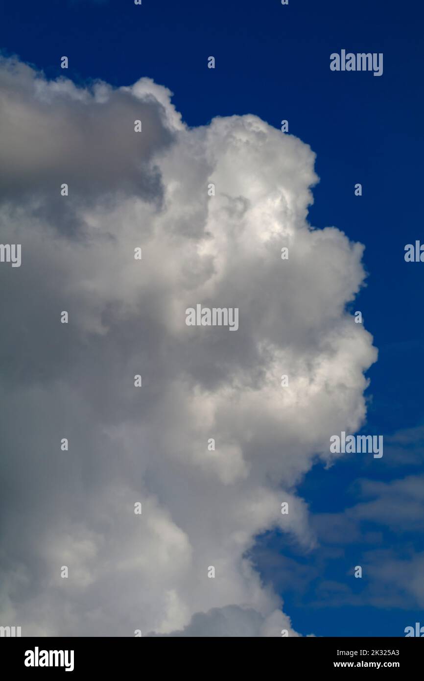 Cumulus-Wolken Stockfoto