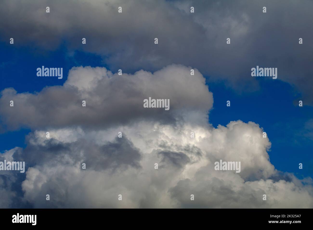 Kumuluswolke vor blauem Himmel Stockfoto