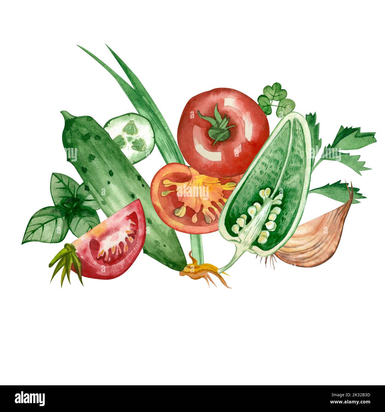 Aquarell-Zusammensetzung von farbigem Gemüse: Tomaten, Paprika, Basilikum, Petersilie, Gurke, Zwiebel auf weißem Hintergrund. Eine großartige Menüoption. Stockfoto