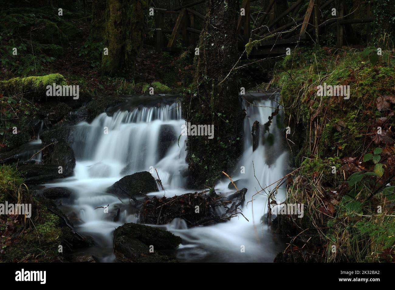 Nebenfluss der Afon Rhiwddolion. Stockfoto
