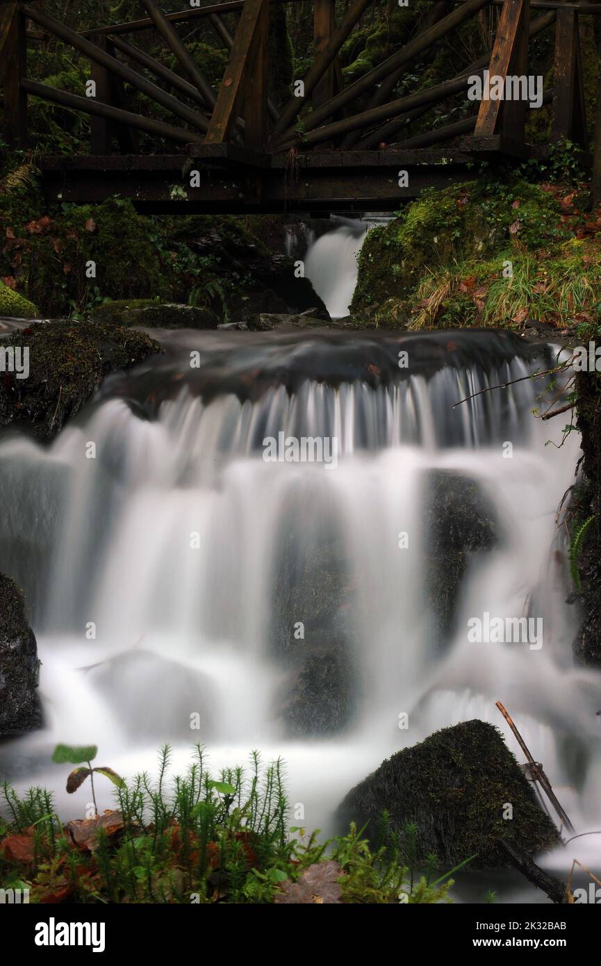 Nebenfluss der Afon Rhiwddolion. Stockfoto