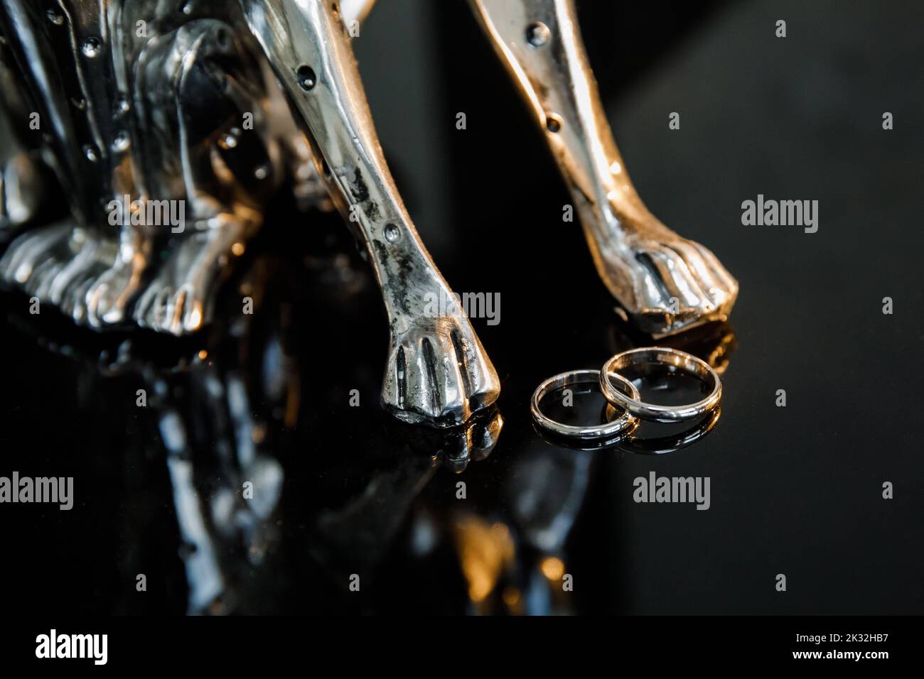 Zwei goldene Eheringe isoliert auf dunklem Hintergrund-Konzept für Eheringe Stockfoto