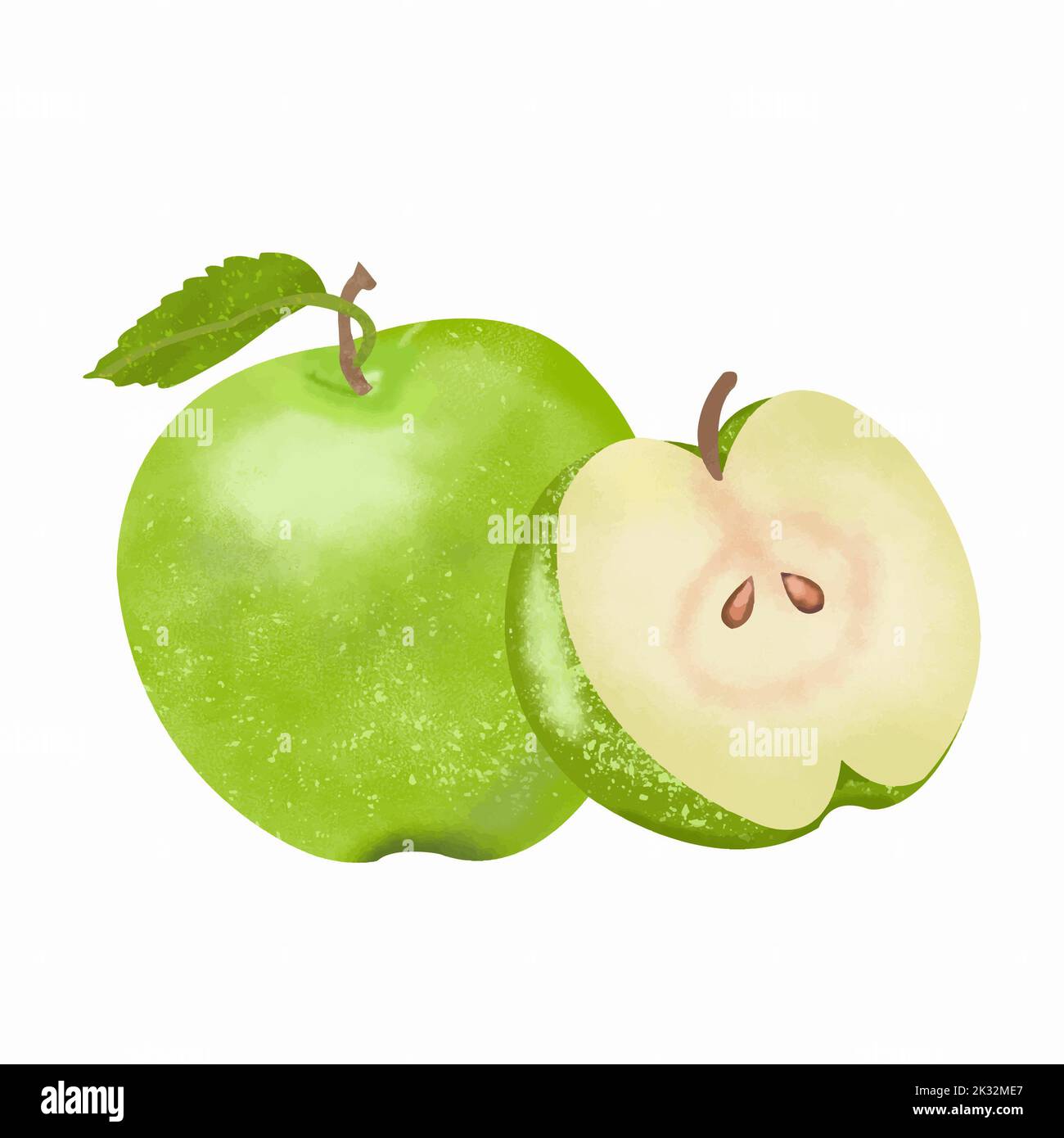 Grün geschnitten frischen Apfel Aquarell. Stockfoto