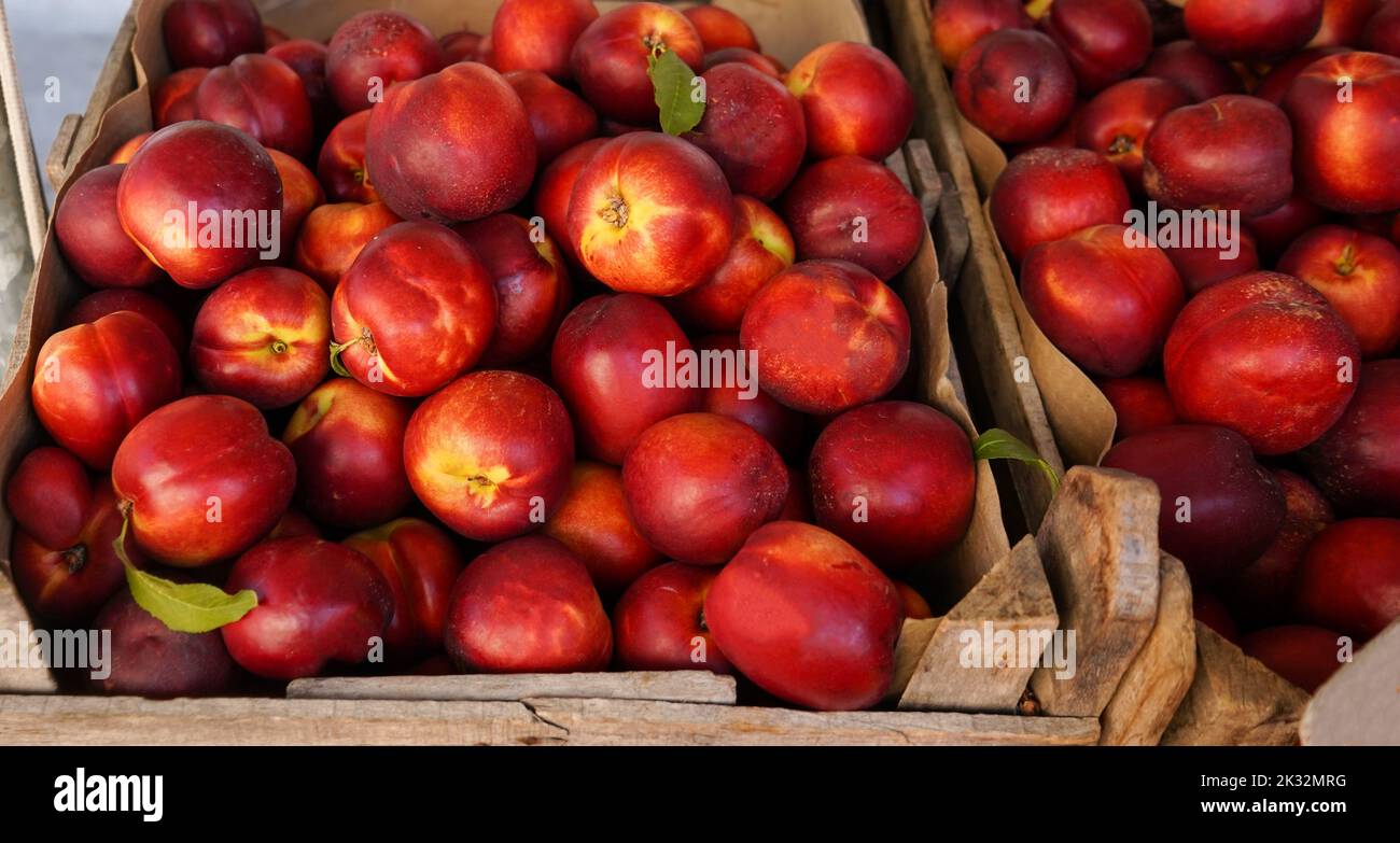 Reife frische rote Nektarinen in Kartons auf dem Markt Stockfoto