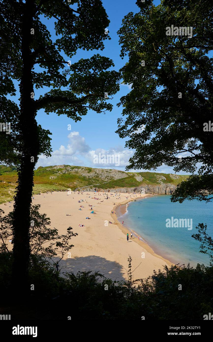 Barafundle Bay in Pembrokeshire gilt weithin als einer der schönsten Strände Großbritanniens Stockfoto