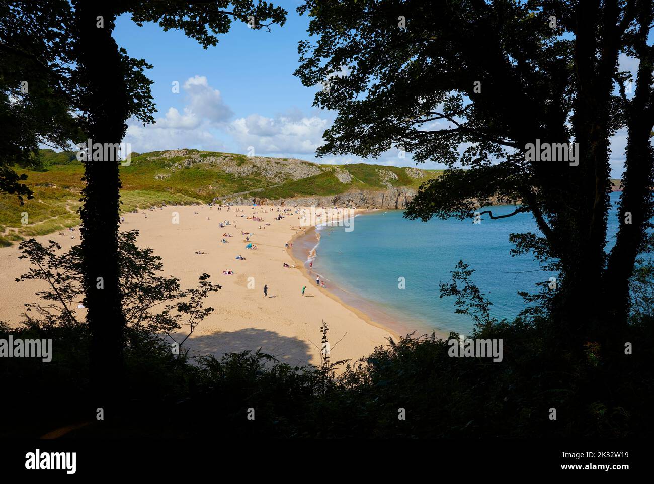 Barafundle Bay in Pembrokeshire gilt weithin als einer der schönsten Strände Großbritanniens Stockfoto