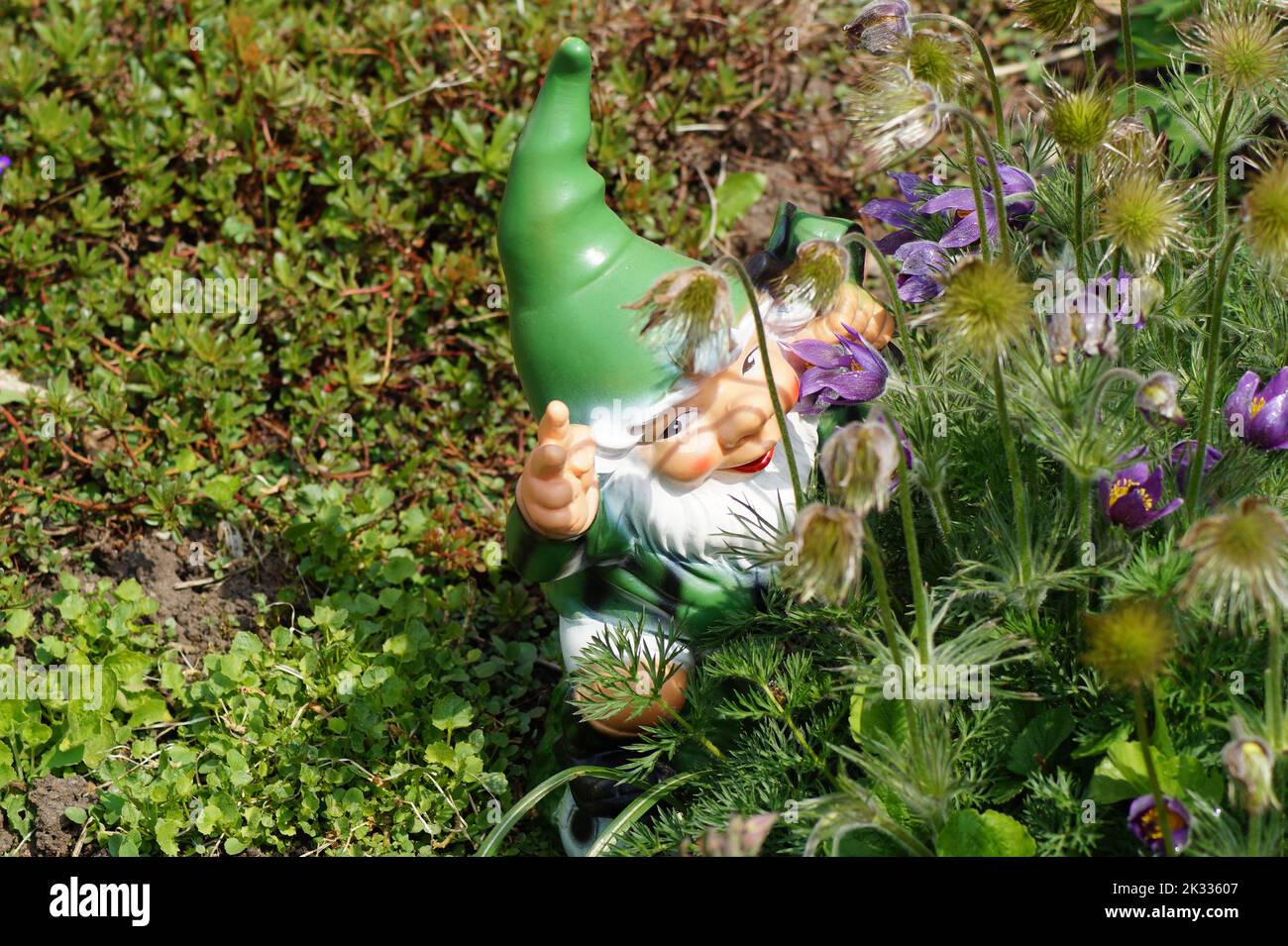 Kleine Zwerge verstecken sich im Garten Stockfoto