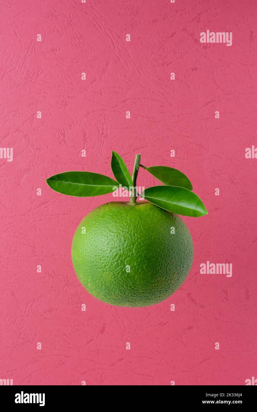 Grüne, orangefarbene Frucht mit Blättern auf rot strukturiertem Hintergrund, Zitrusfrüchte mit hohem Vitamin C-Gehalt, Platz für Text Stockfoto
