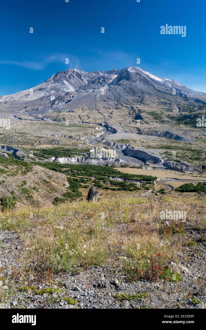 Panoramablick über Mount St. Helens, Skamania County, Washington, USA Stockfoto