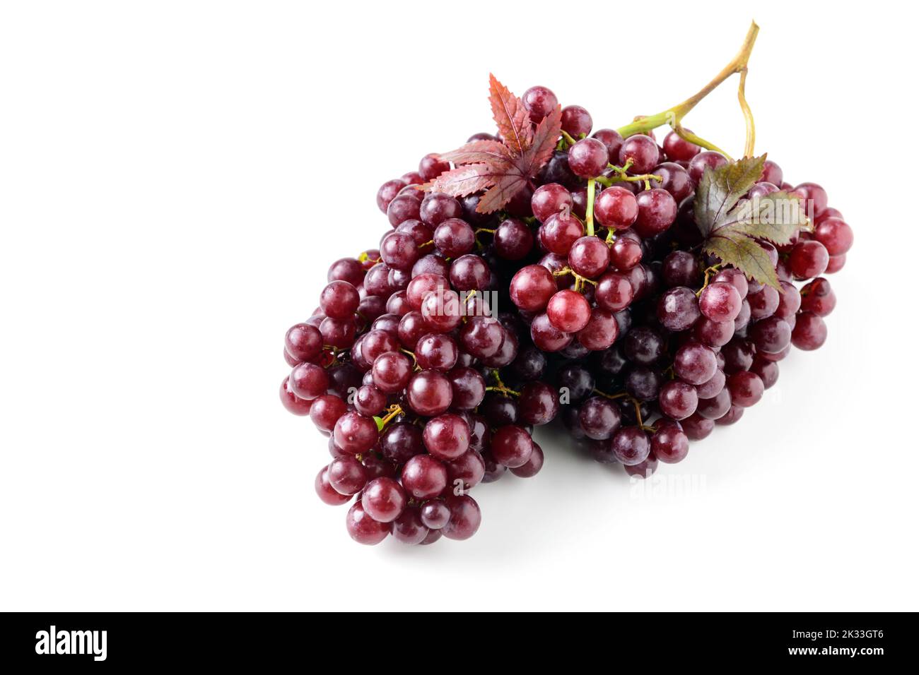Champagnertrauben isoliert auf weißem Hintergrund.Champagnertrauben sind sehr klein und wachsen in dicht gepackten Trauben. Die kernlosen Beeren sind dunkelrot Stockfoto