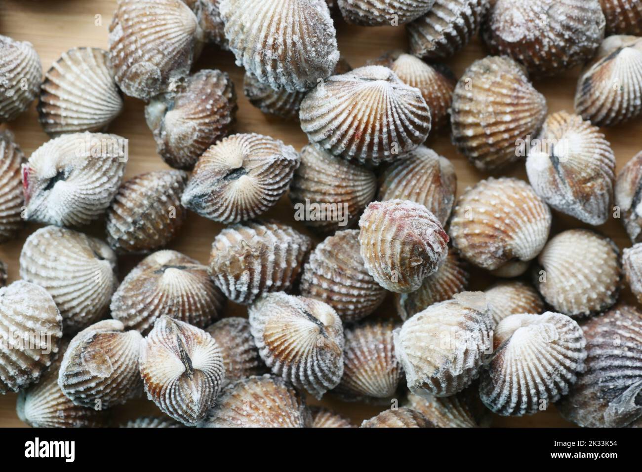 dolly schoss Herzmuscheln auf einen Teller Stockfoto