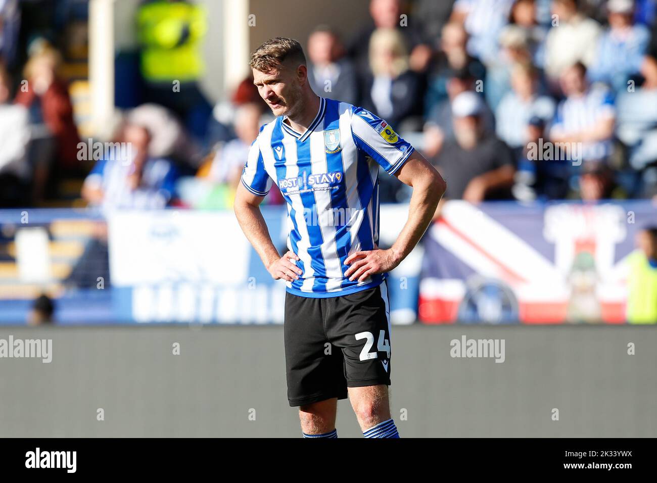 Sheffield, Großbritannien. 24. September 2022. Michael Smith #24 of Sheffield Wednesday während des Sky Bet League 1-Spiels Sheffield Wednesday gegen Wycombe Wanderers in Hillsborough, Sheffield, Großbritannien, 24.. September 2022 (Foto von Ben Early/News Images) in Sheffield, Großbritannien am 9/24/2022. (Foto von Ben Early/News Images/Sipa USA) Quelle: SIPA USA/Alamy Live News Stockfoto