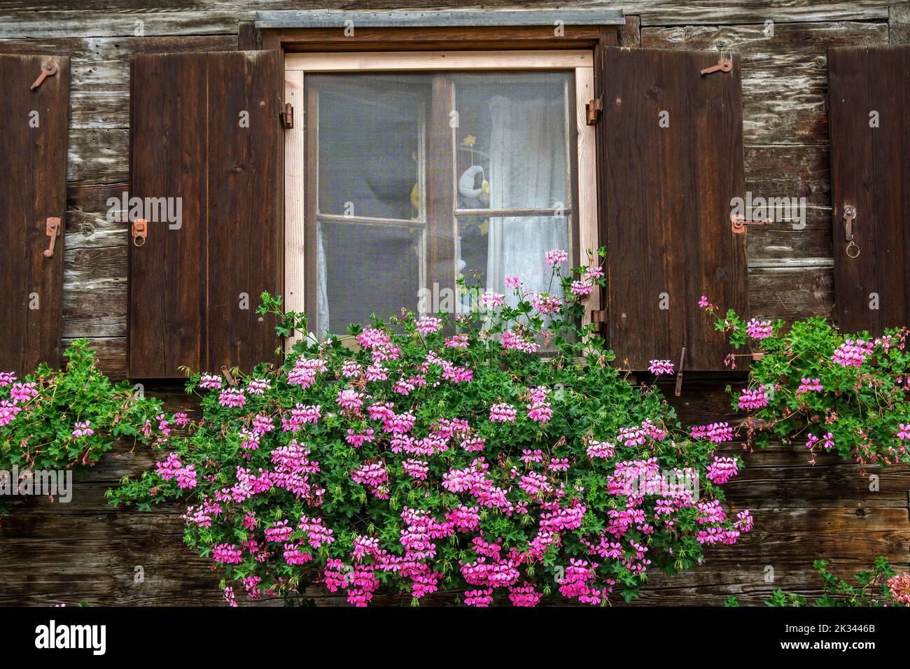 Fenster mit Geranien auf einem alten Holzhaus m in Zollstraße, Oberstdorf, Oberallgäu, Allgäu, Schwaben, Bayern, Deutschland Stockfoto