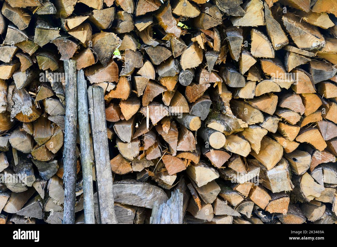 Brennholz Haufen, Allgäu, Bayern, Deutschland Stockfoto