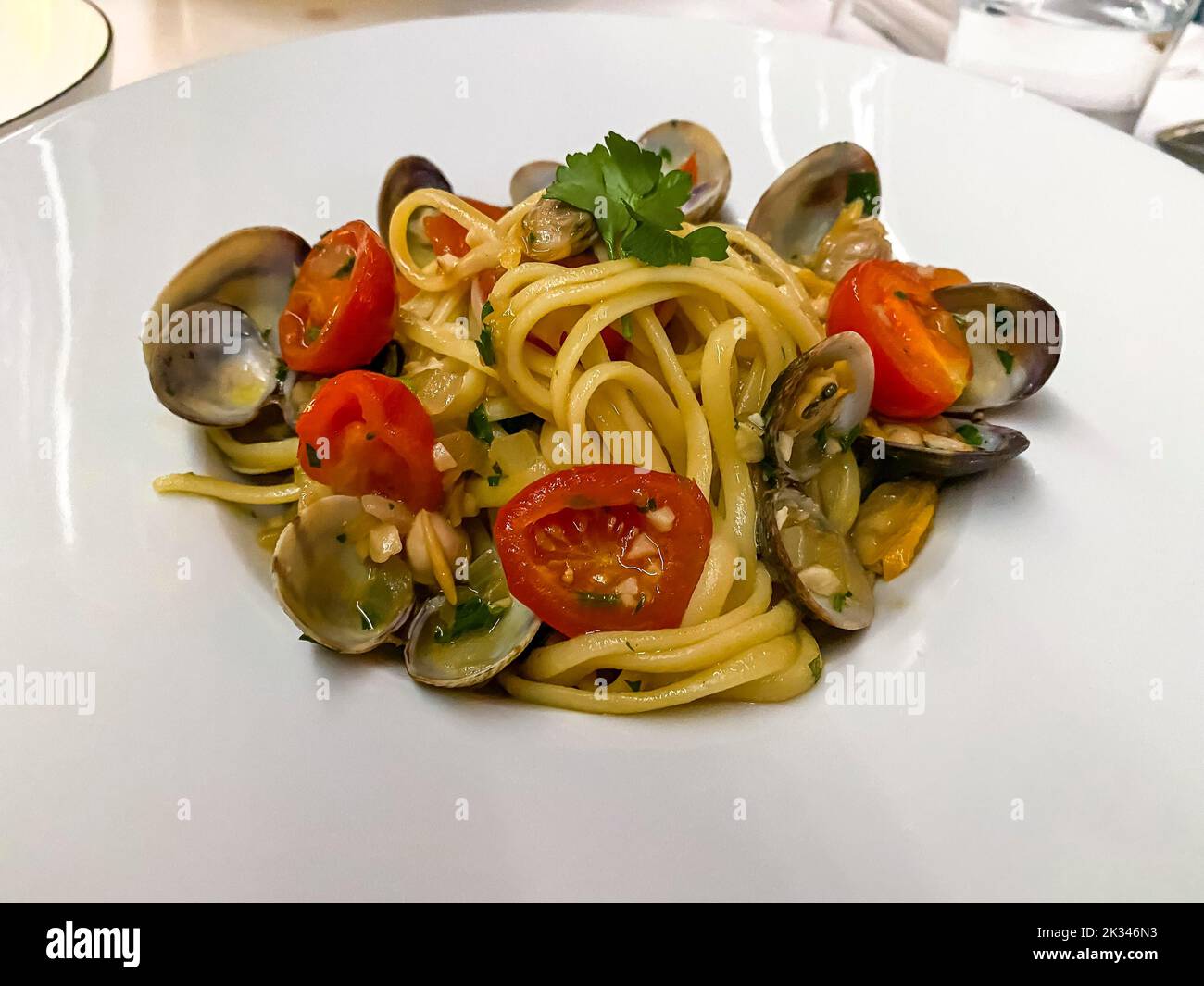 Spaghetti-Vongole, Tomatenmark, Petersilie, Hessen, Deutschland Stockfoto