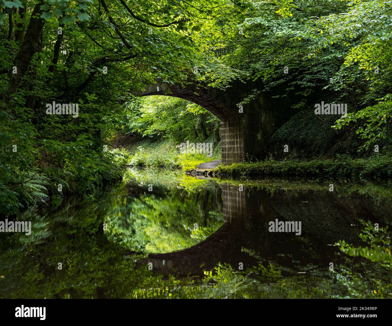 Eine gewölbte Steinbrücke, die sich im Wasser auf dem Union Canal, Schottland, Großbritannien, widerspiegelt Stockfoto