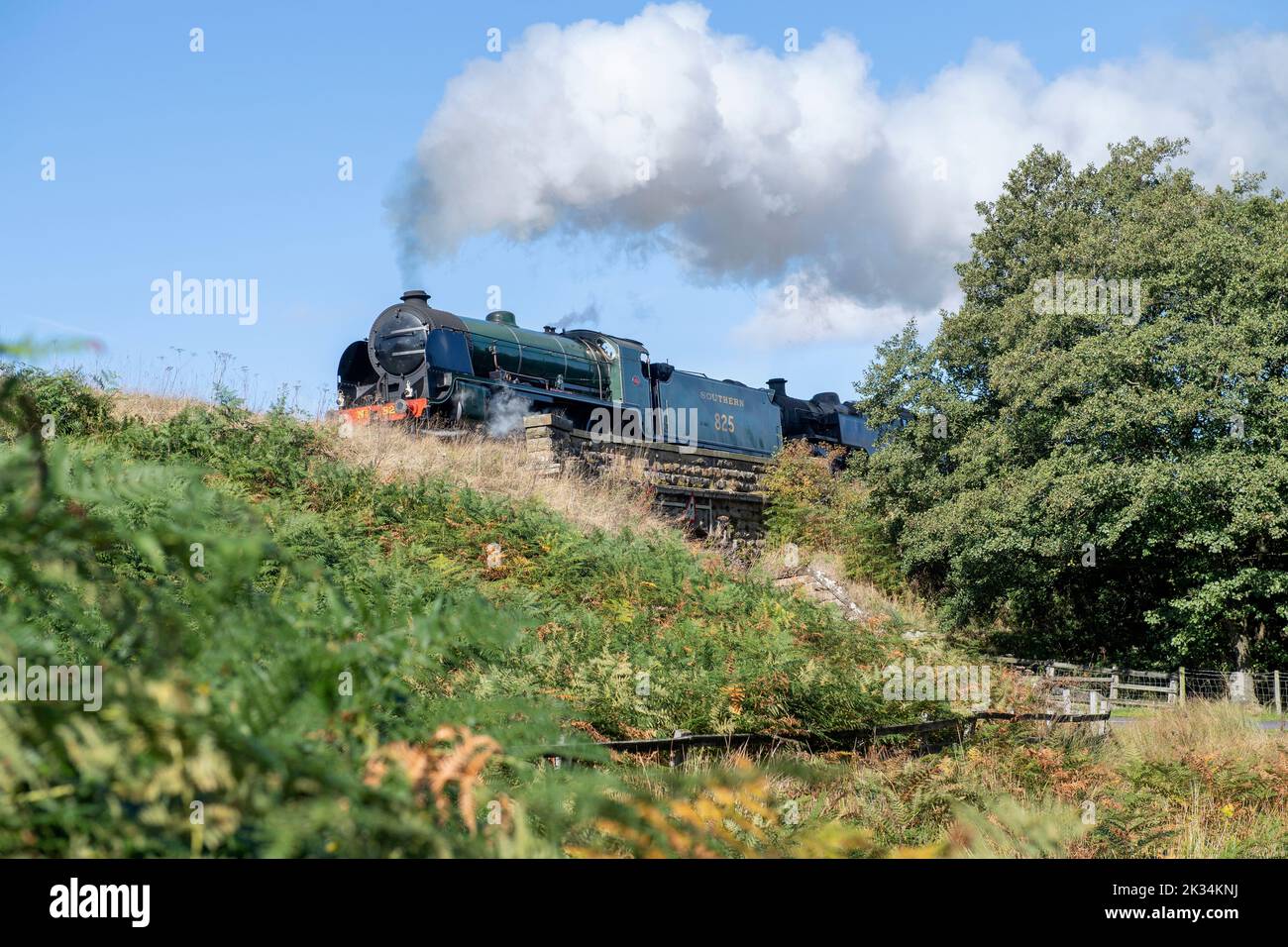 Die Southern No.926 Repton Dampfeisenbahn, die eine Brücke außerhalb von Goathland auf der North Yorkshire Moors Railway überquert. Stockfoto