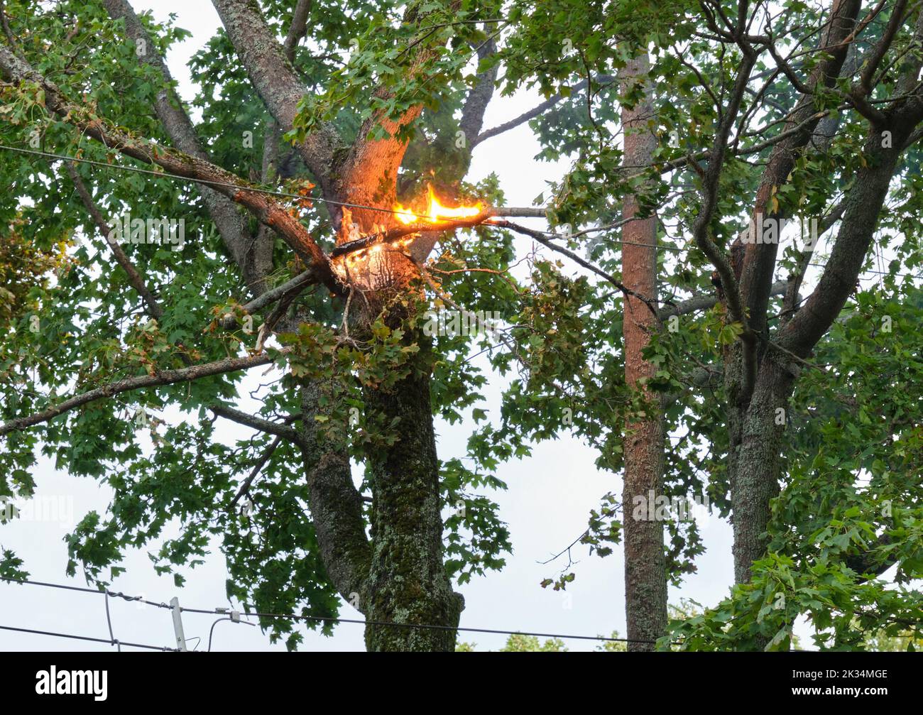 Halifax, Nova Scotia, Kanada. 24.. September 2022. Feuerwehrleute, die nach dem Durchlaufen des Unwrens von Fiona an einem Elektrobrand teilnahmen. Der Sturm mit Windgeschwindigkeiten von bis zu 135 km/h in der Gegend hinterließ erhebliche Baumschäden und schwere Schäden am Stromnetz Stockfoto