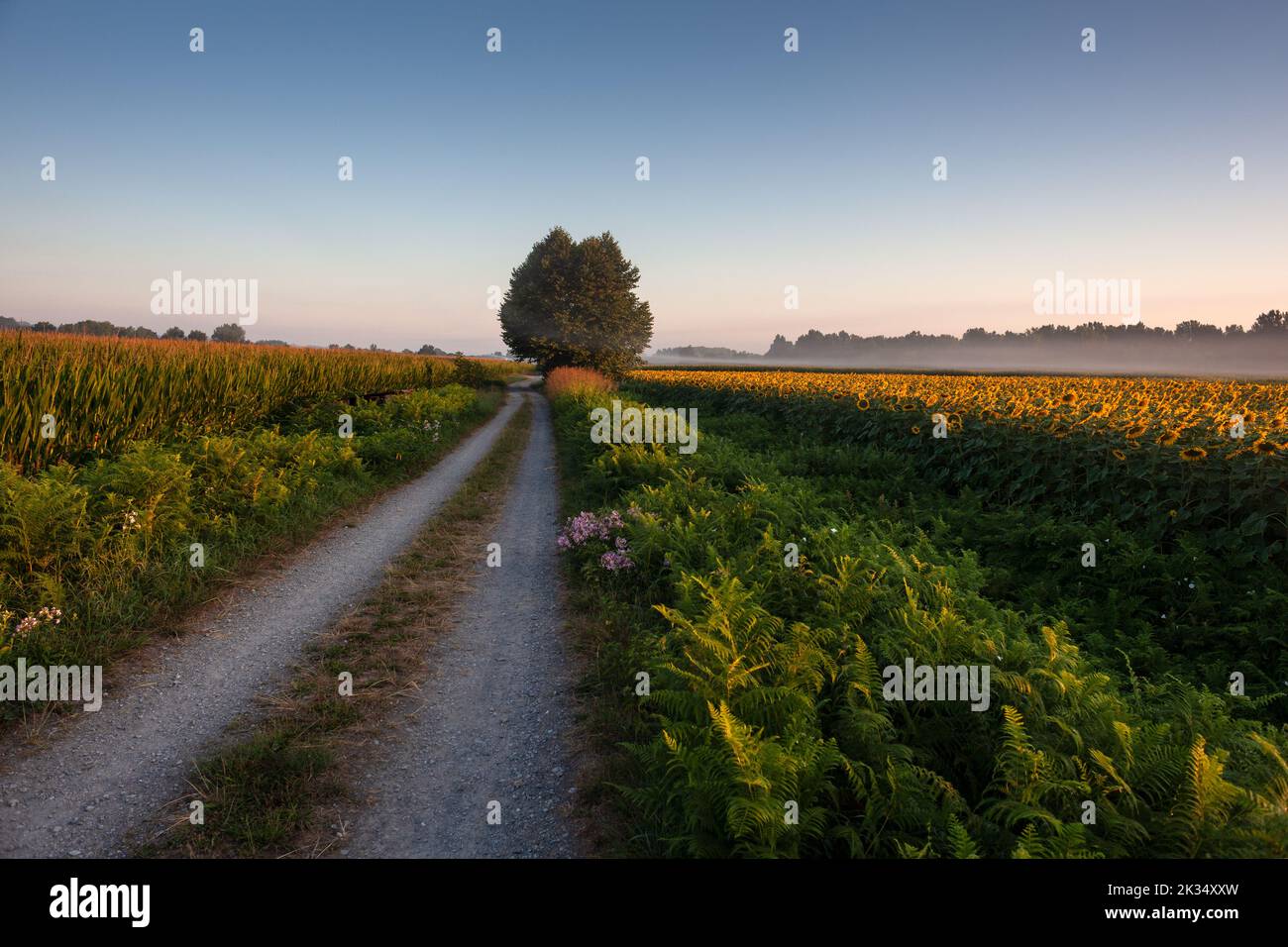 Pfad entlang des Chemin du Puy, auch Via Podiensis oder der Le Puy Route des Camino de Santiago genannt Stockfoto