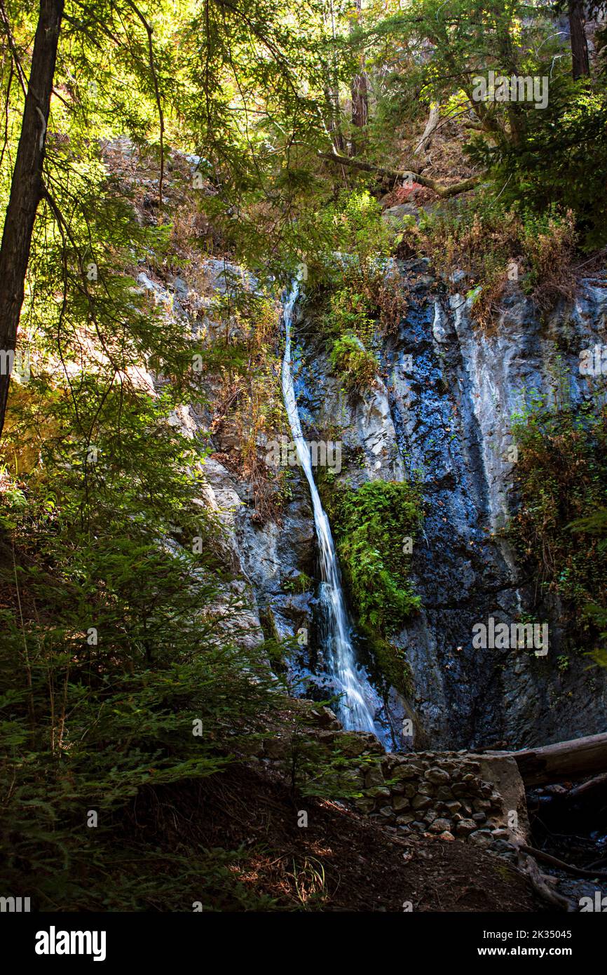 Pfeiffer Big Sur State Park, Big Sur, Kalifornien, USA Stockfoto