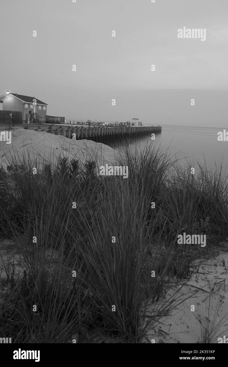 Nebliger Blick auf den Strand auf Long Beach Island an der Küste von Jersey. Bedeckt, neblig, mit der Sonne, die auf dem Atlantischen Ozean aufgeht Stockfoto Nebliger Blick auf den Strand auf Long Beach Island an der Küste von Jersey. Bedeckt, neblig, mit der Sonne, die auf dem Atlantischen Ozean aufgeht Stockfoto