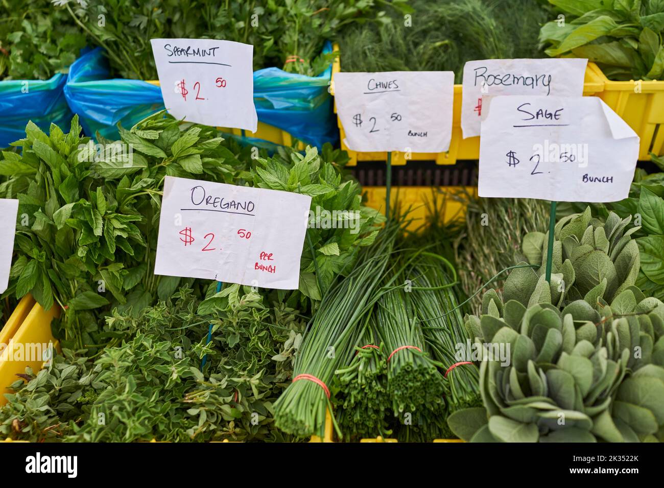 Kräuter zum Verkauf auf einem Bauernmarkt in New Jersey, USA. Grüne Minze, Schnittlauch, Rosmarin, Salbei, Oregano, Alles frisch und gebündelt. Stockfoto