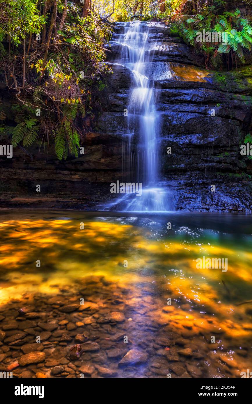 Gordon Falls im Blue Mountains National Park fallen zum Pool von Siloam - regionale Leura Stadt Wanderwege. Stockfoto