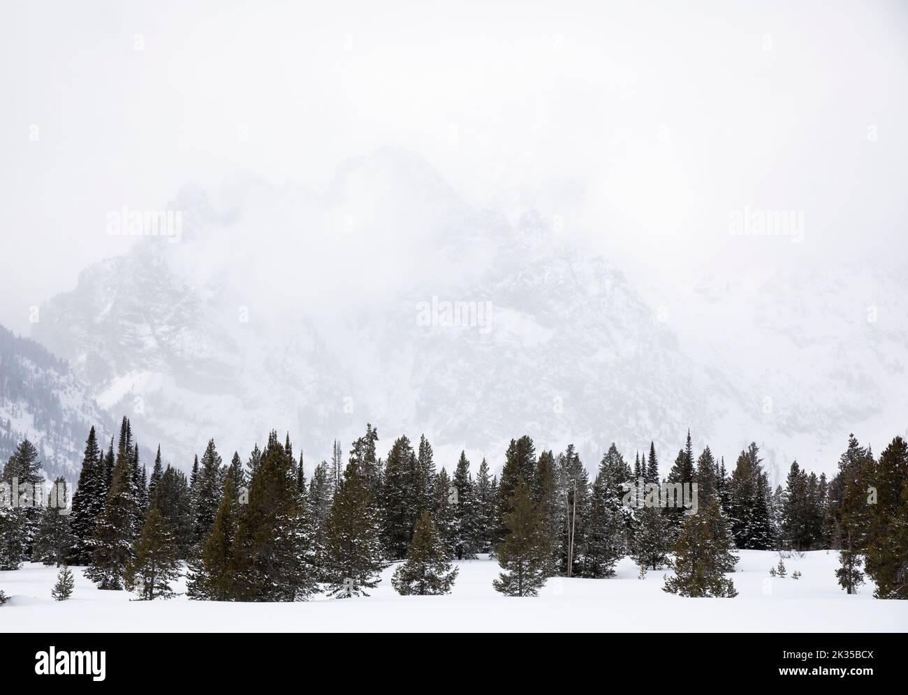 WY05065-00..... WYOMING - Teton Range im Winter, Grand Teton National Park. Stockfoto