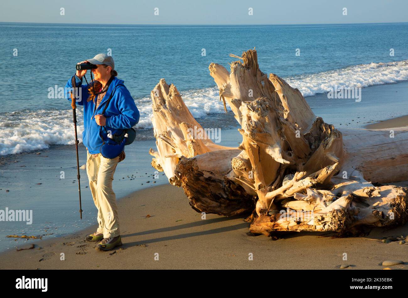 Wanderer am Strand, Dungeness National Wildlife Refuge, Washington Stockfoto
