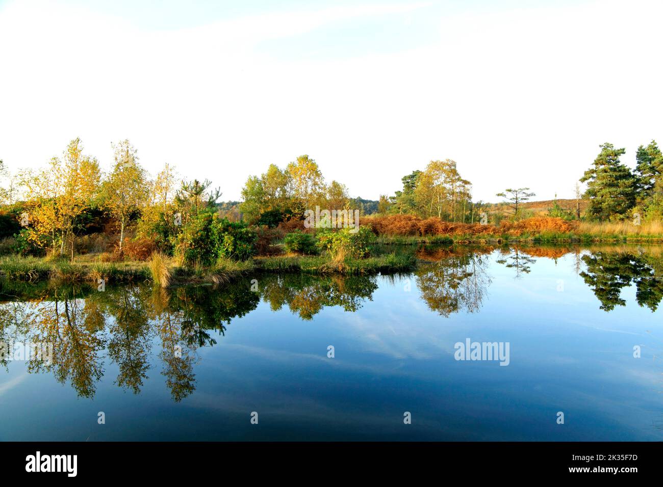 Dersingham Moor, National Nature Reserve, wurde als Standort von besonderem wissenschaftlichen Interesse, als Moor, Heide und Wald, SSI, Herbst, Norfolk Stockfoto