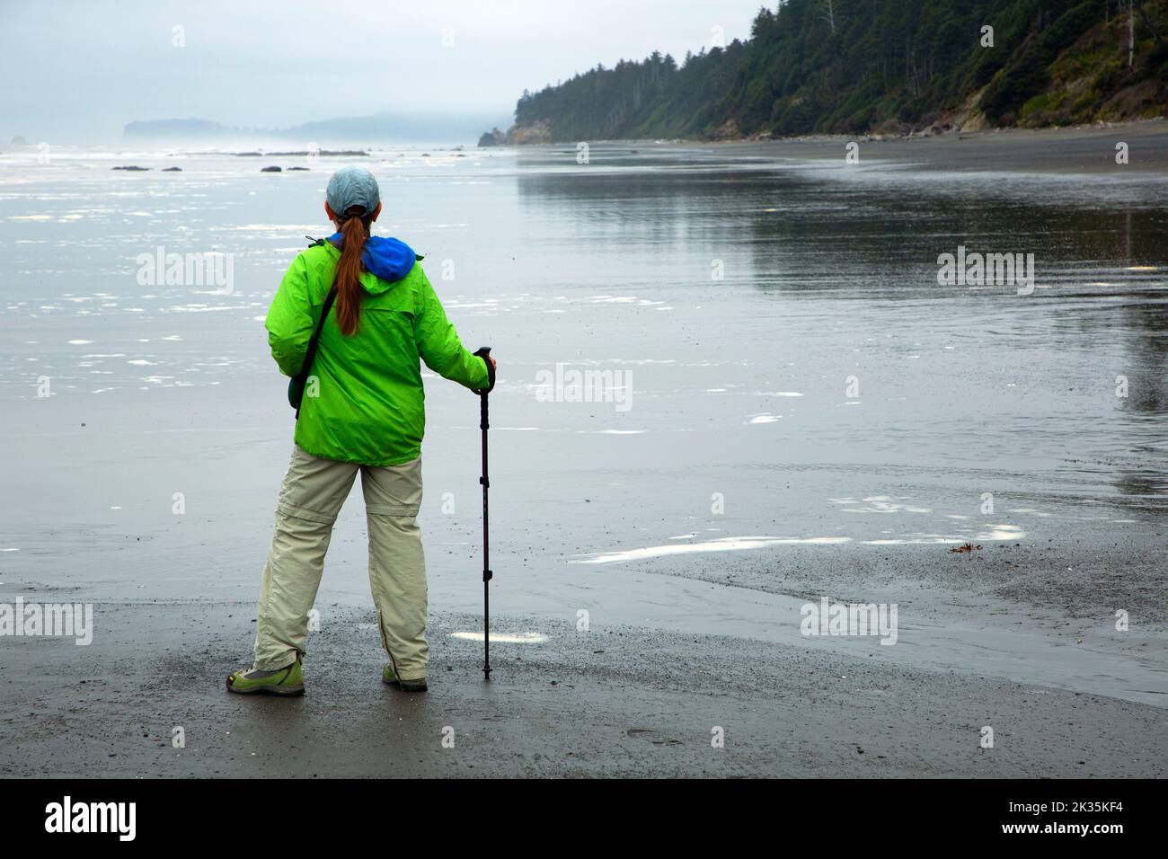 Wanderer am Strand 4 in Kalaloch, Olympic National Park, Washington Stockfoto