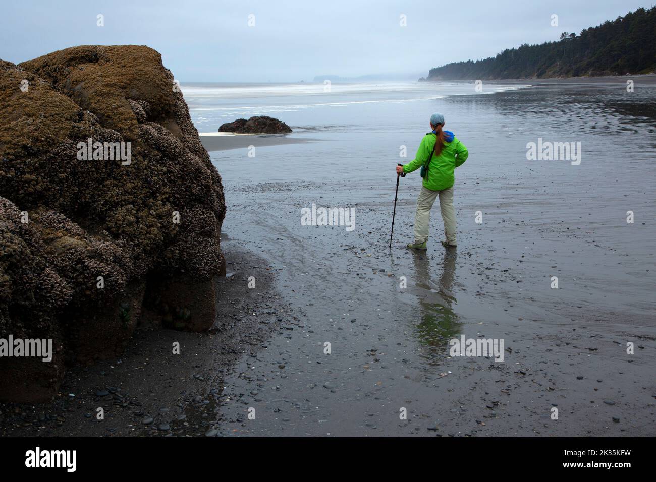 Wanderer am Strand 4 in Kalaloch, Olympic National Park, Washington Stockfoto