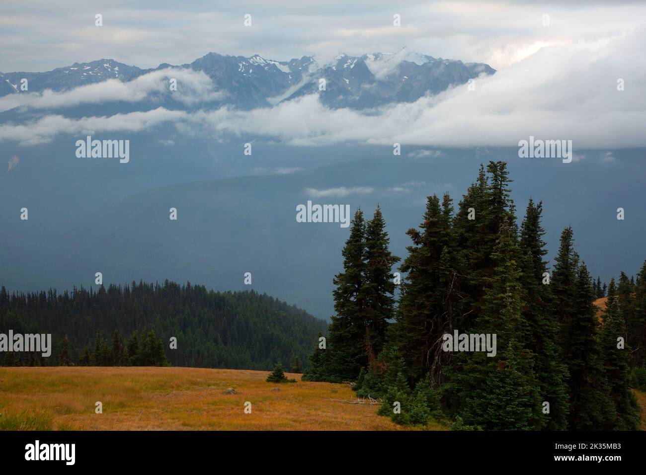 Olympic Mountains von Hurricane Hill Trail, Olympic Nationalpark, Washington Stockfoto