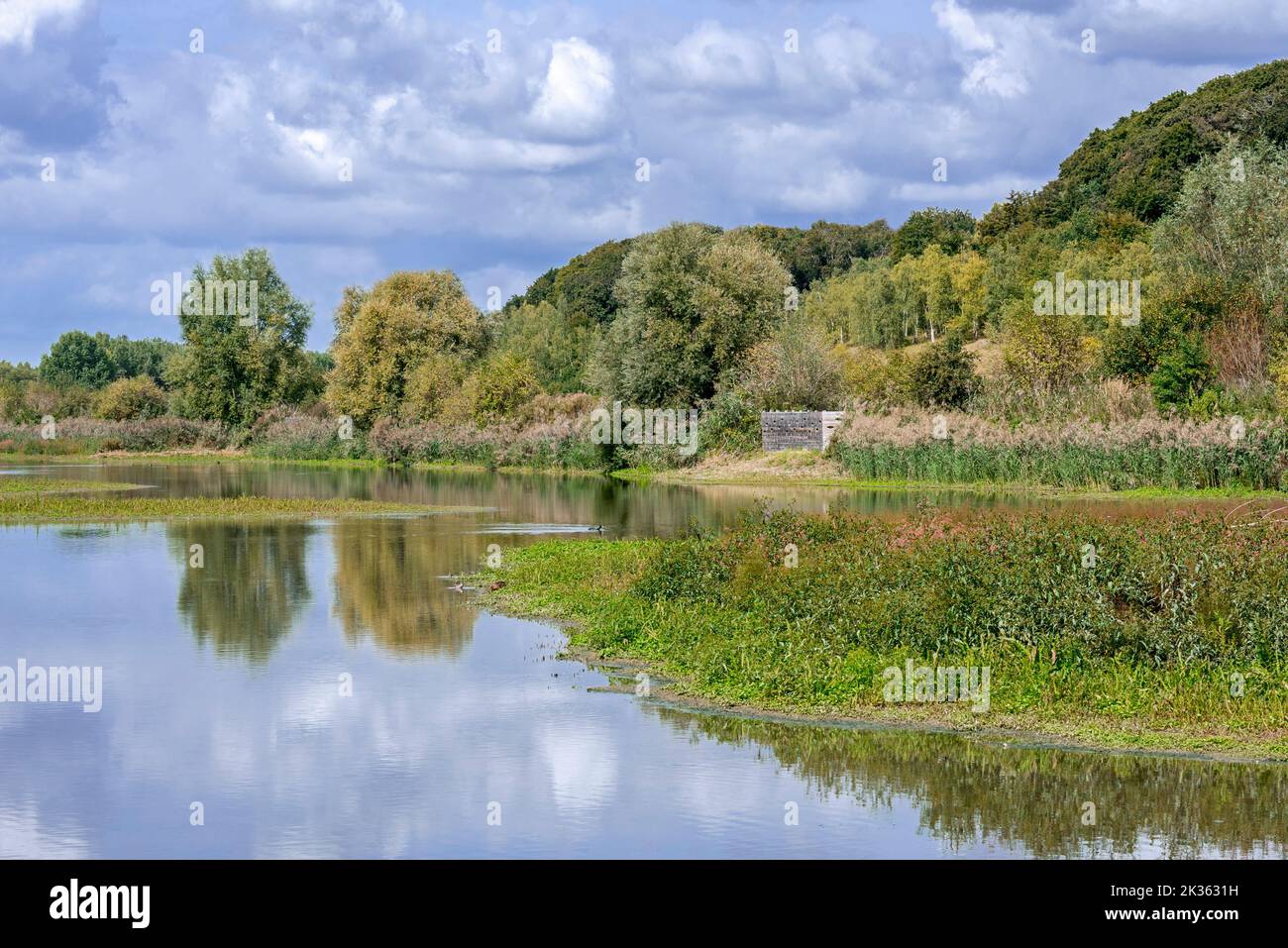 Vogelbeobachtung Vogelversteck / Vogelblind auf der Réserve ornithologique Baie de Somme Grand-Laviers, Hauts-de-France, Somme, Frankreich Stockfoto